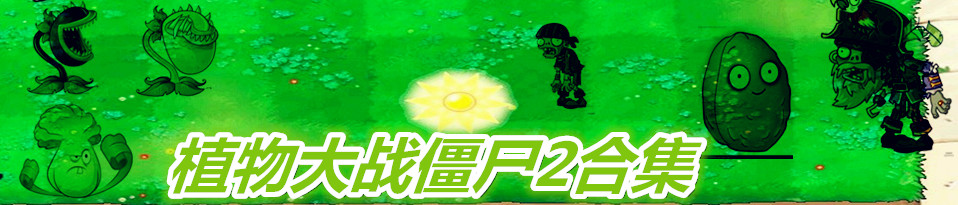 ֲ(zhn)ʬ2