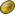 Gold coin