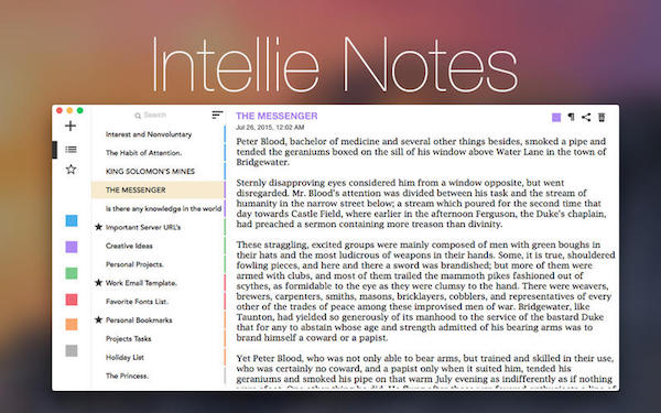 Intellie Notes